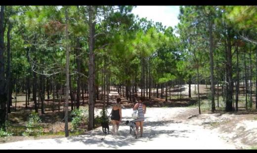 Camping Novas Palmeiras Florianópolis Zewnętrze zdjęcie